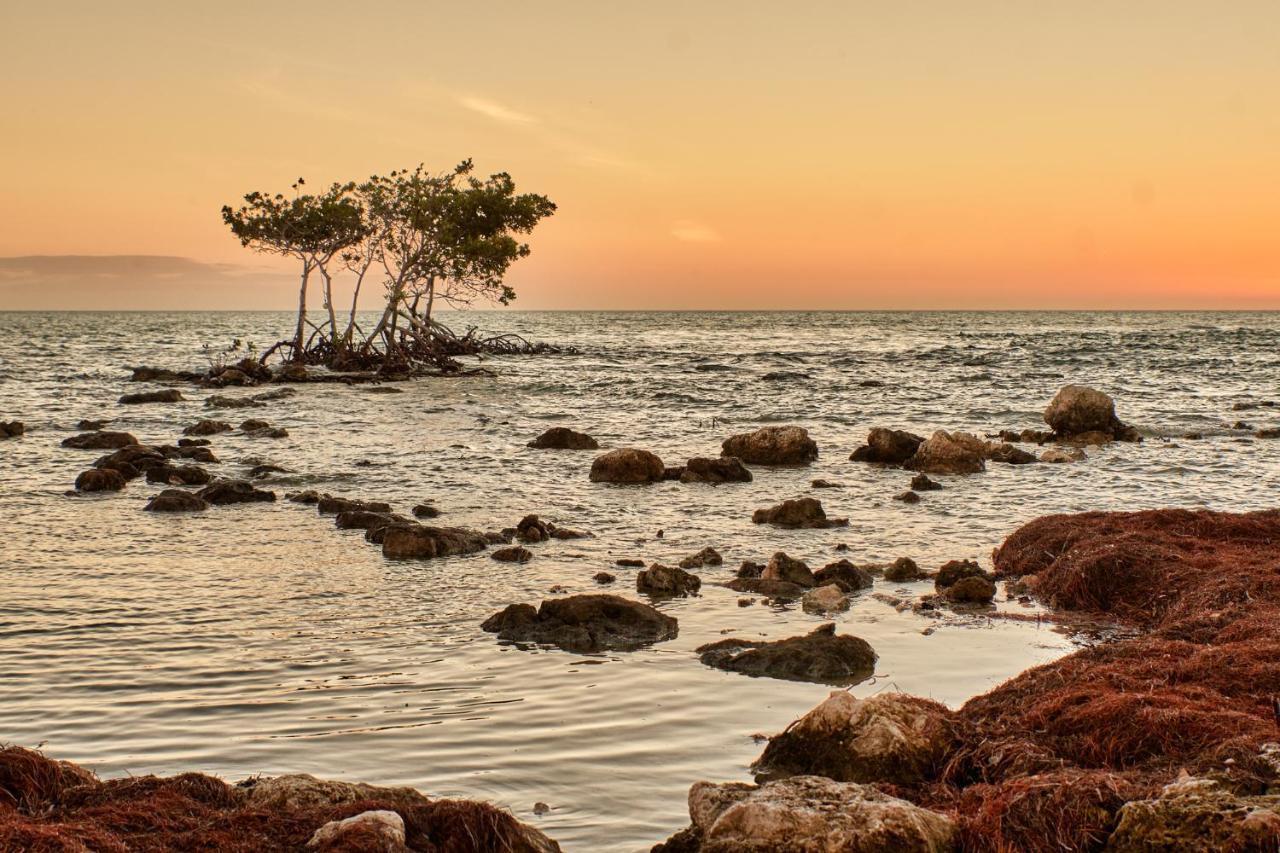 Isla Bella Beach Resort & Spa - Florida Keys Маратон Екстериор снимка